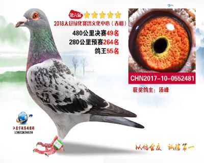 太仓绿化决赛49名