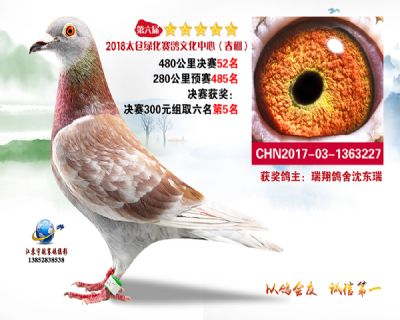 太仓绿化决赛52名