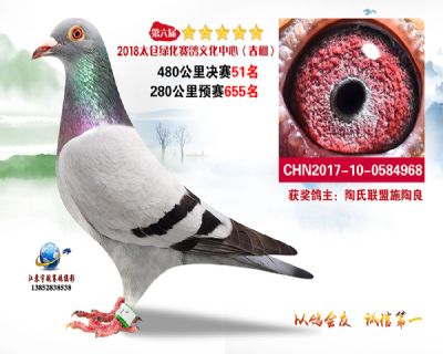 太仓绿化决赛51名
