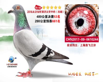 太仓绿化决赛53名