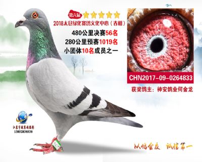 太仓绿化决赛56名