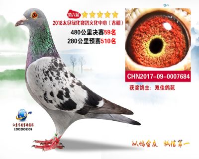 太仓绿化决赛59名