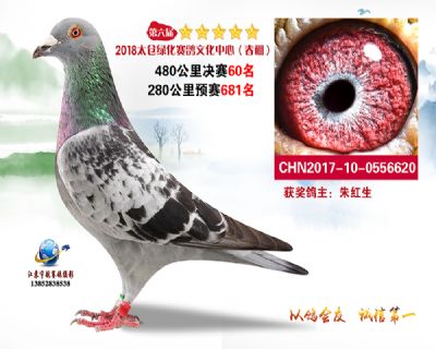 太仓绿化决赛60名