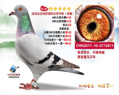 太仓绿化决赛63名