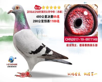 太仓绿化决赛65名