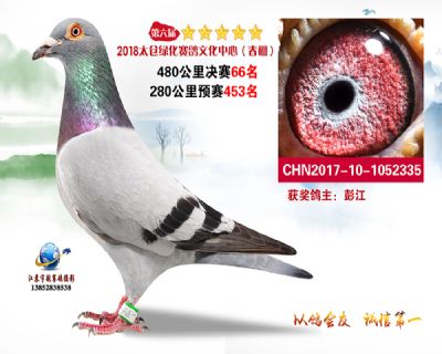 太仓绿化决赛66名