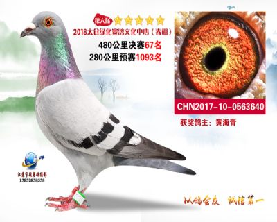 太仓绿化决赛67名