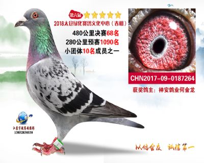 太仓绿化决赛68名