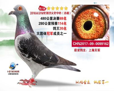 太仓绿化决赛69名