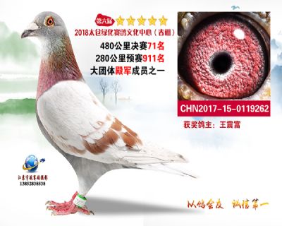 太仓绿化决赛71名