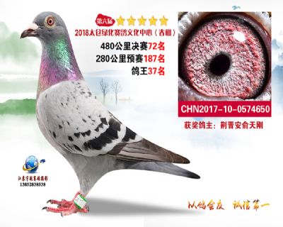 太仓绿化决赛72名