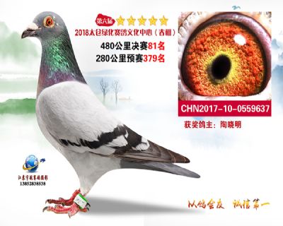 太仓绿化决赛81名