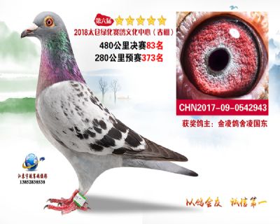 太仓绿化决赛83名