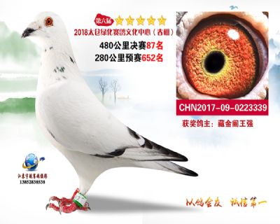 太仓绿化决赛87名
