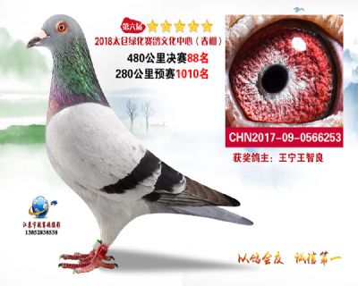太仓绿化决赛88名
