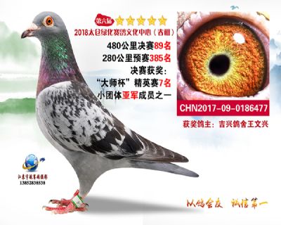 太仓绿化决赛89名