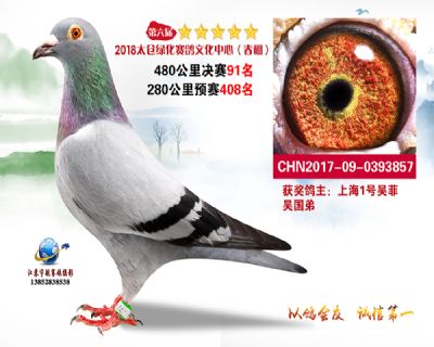 太仓绿化决赛91名