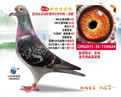 太仓绿化决赛92名