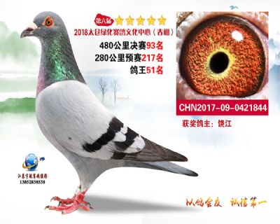 太仓绿化决赛93名