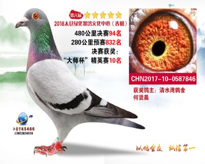 太仓绿化决赛94名