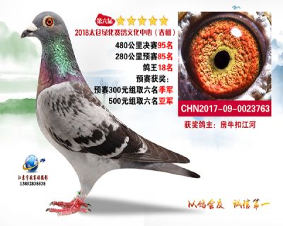 太仓绿化决赛95名