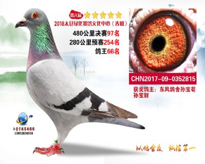 太仓绿化决赛97名