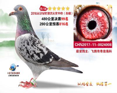 太仓绿化决赛99名