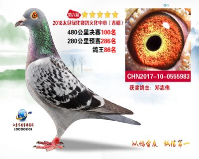 太仓绿化决赛100名