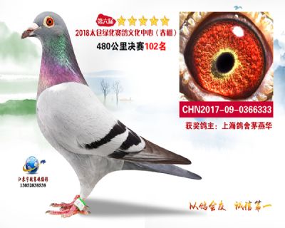 太仓绿化决赛102名