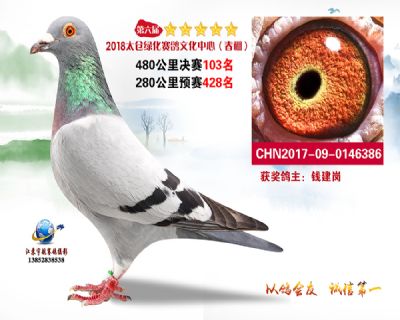 太仓绿化决赛103名