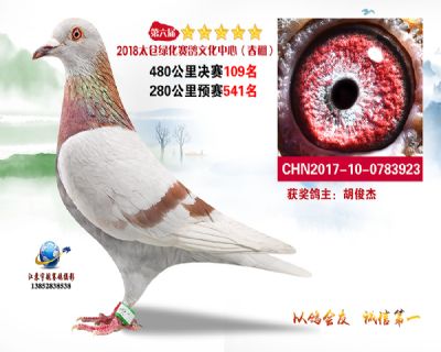 太仓绿化决赛109名