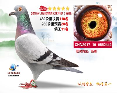 太仓绿化决赛110名