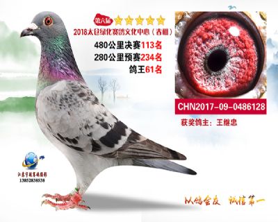 太仓绿化决赛113名