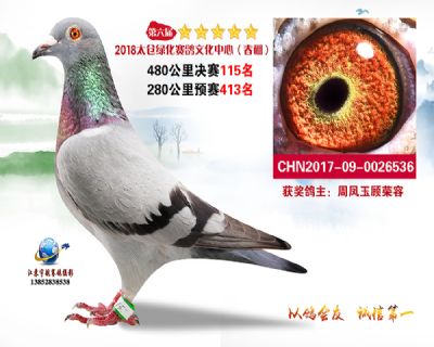 太仓绿化决赛115名