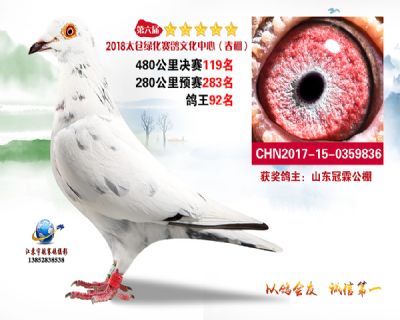 太仓绿化决赛119名