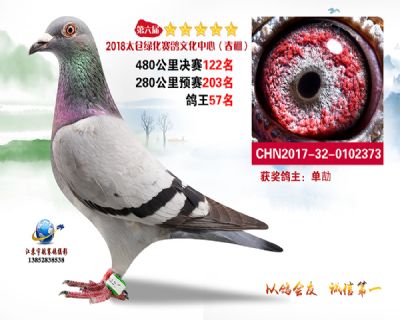 太仓绿化决赛122名