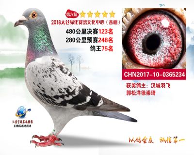 太仓绿化决赛123名