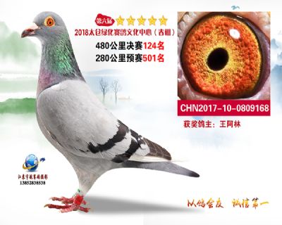 太仓绿化决赛124名