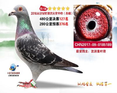 太仓绿化决赛127名