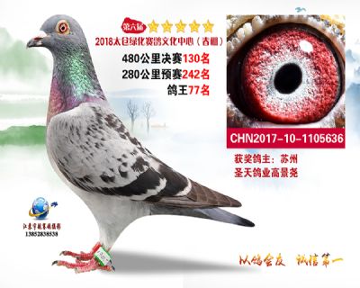太仓绿化决赛130名