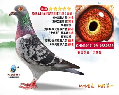 太仓绿化决赛131名