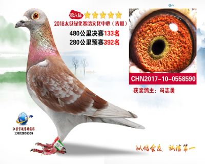 太仓绿化决赛133名