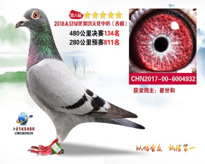 太仓绿化决赛134名