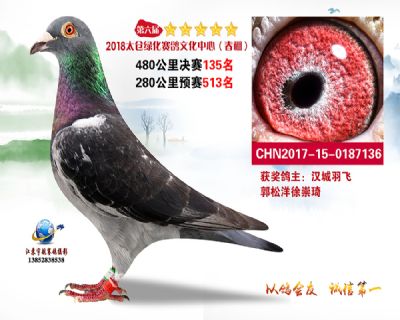 太仓绿化决赛135名