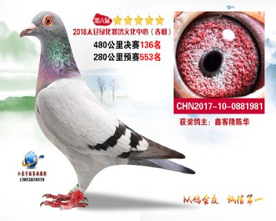 太仓绿化决赛136名