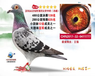 太仓绿化决赛138名