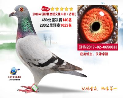 太仓绿化决赛140名