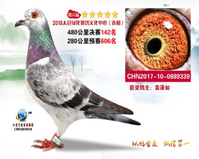 太仓绿化决赛142名