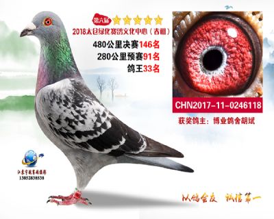 太仓绿化决赛146名