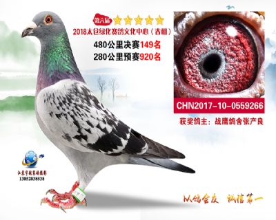 太仓绿化决赛149名